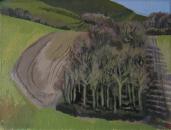 Downland copse near Glyndebourne