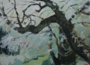 Under the frothy willows