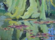 Warm willow reflections and lily pads