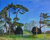 Winter trees at Barcombe